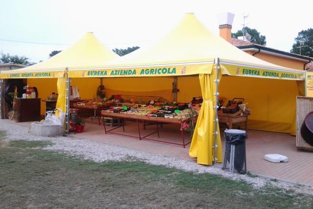 Séjour à la ferme Eureka *